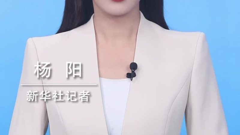 小型SaaS平台的技术选型与架构设计